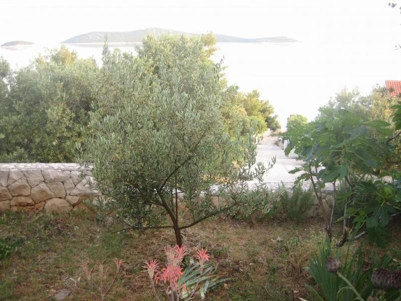 Apartments Mil - 80M From The Sea Sevid Exterior photo